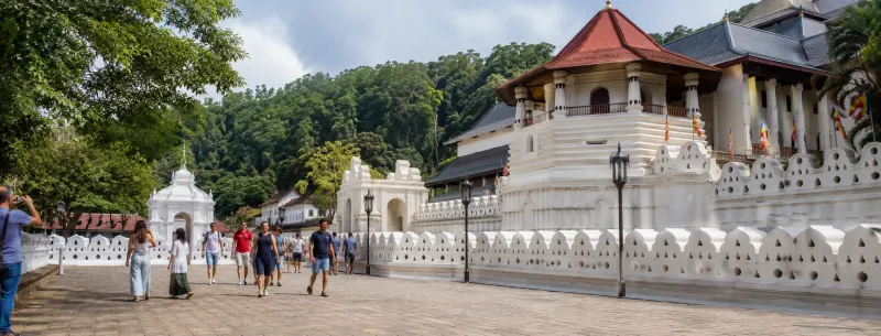 Sri Lanka cultural tour packages — Kandy temples, tea country, Yala safari, and southern beaches planned by Piccola Travel, a Miami travel agency.