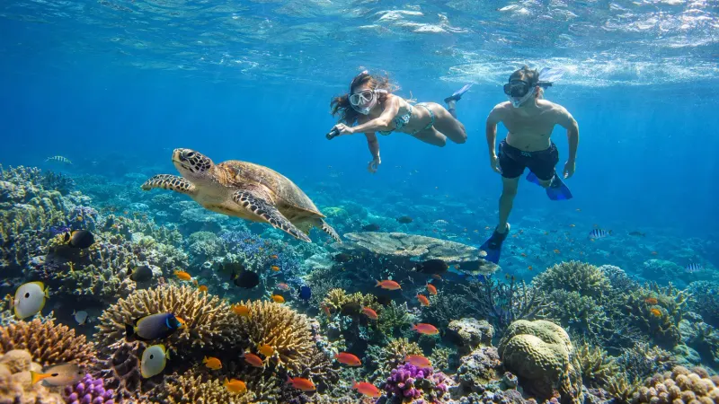 Couple snorkeling in the crystal clear waters of Fiji coral reefs. Vacations planned by Piccola Travel, a Miami travel agency.