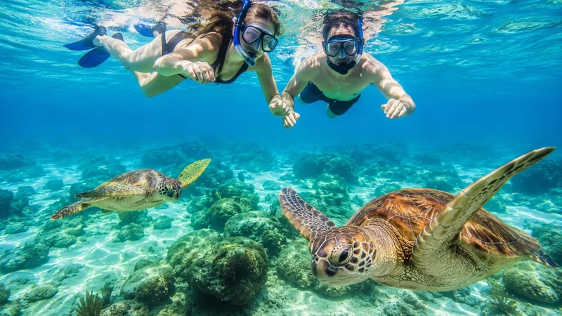 Curacao vacation packages with Willemstad architecture and diving planned by Piccola Travel, a Miami travel agency.