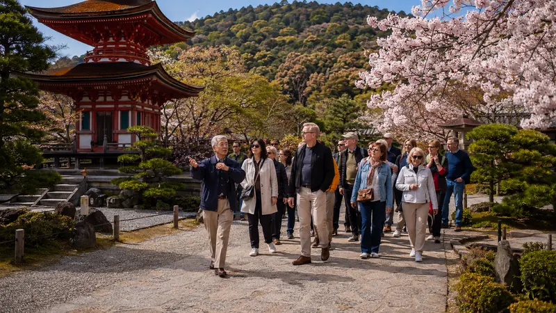 Tour group walking with a local guide past a red pagoda and cherry blossoms in a Japanese temple garden on an Asia group tour designed by Piccola Travel, a Miami travel agency.