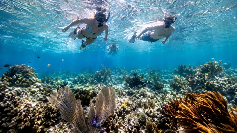 Snorkelers over a coral reef in the clear waters of Cozumel