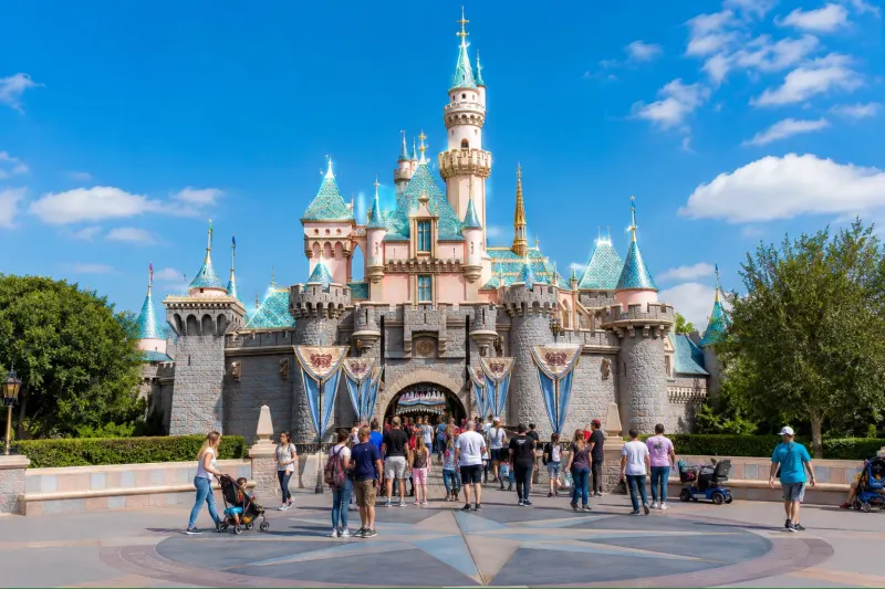 Disney world and theme park coordination filters
