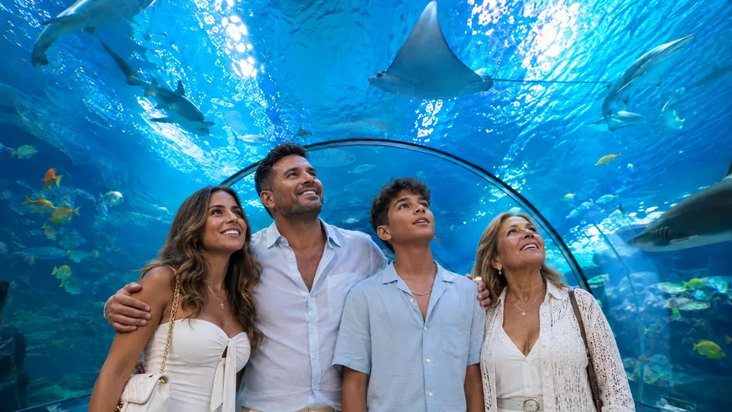 Family of four admiring rays and sharks overhead inside a clear aquarium tunnel on a Dubai family tour